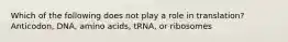 Which of the following does not play a role in translation? Anticodon, DNA, amino acids, tRNA, or ribosomes