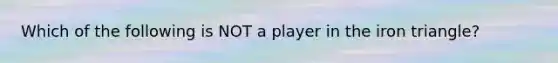 Which of the following is NOT a player in the iron triangle?