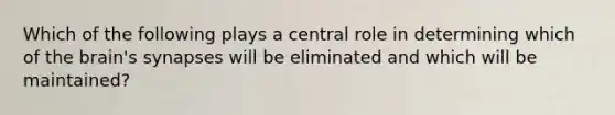 Which of the following plays a central role in determining which of the brain's synapses will be eliminated and which will be maintained?