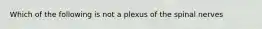 Which of the following is not a plexus of the spinal nerves