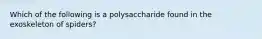 Which of the following is a polysaccharide found in the exoskeleton of spiders?