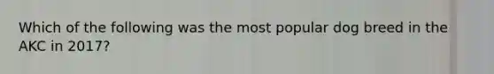Which of the following was the most popular dog breed in the AKC in 2017?