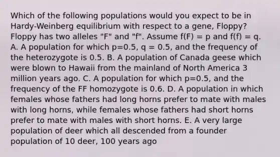 Which of the following populations would you expect to be in Hardy-Weinberg equilibrium with respect to a gene, Floppy? Floppy has two alleles "F" and "f". Assume f(F) = p and f(f) = q. A. A population for which p=0.5, q = 0.5, and the frequency of the heterozygote is 0.5. B. A population of Canada geese which were blown to Hawaii from the mainland of North America 3 million years ago. C. A population for which p=0.5, and the frequency of the FF homozygote is 0.6. D. A population in which females whose fathers had long horns prefer to mate with males with long horns, while females whose fathers had short horns prefer to mate with males with short horns. E. A very large population of deer which all descended from a founder population of 10 deer, 100 years ago