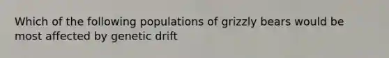 Which of the following populations of grizzly bears would be most affected by genetic drift