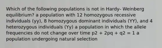 Which of the following populations is not in Hardy- Weinberg equilibrium? a population with 12 homozygous recessive individuals (yy), 8 homozygous dominant individuals (YY), and 4 heterozygous individuals (Yy) a population in which the allele frequencies do not change over time p2 + 2pq + q2 = 1 a population undergoing natural selection