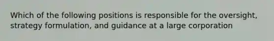 Which of the following positions is responsible for the oversight, strategy formulation, and guidance at a large corporation