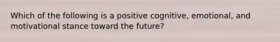 Which of the following is a positive cognitive, emotional, and motivational stance toward the future?