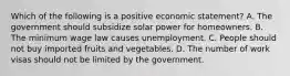 Which of the following is a positive economic statement? A. The government should subsidize solar power for homeowners. B. The minimum wage law causes unemployment. C. People should not buy imported fruits and vegetables. D. The number of work visas should not be limited by the government.