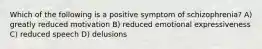 Which of the following is a positive symptom of schizophrenia? A) greatly reduced motivation B) reduced emotional expressiveness C) reduced speech D) delusions