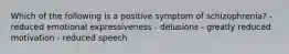 Which of the following is a positive symptom of schizophrenia? - reduced emotional expressiveness - delusions - greatly reduced motivation - reduced speech