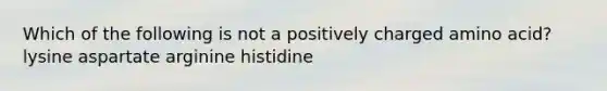 Which of the following is not a positively charged amino acid? lysine aspartate arginine histidine