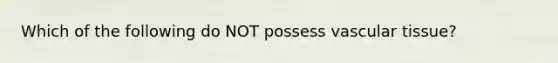 Which of the following do NOT possess vascular tissue?