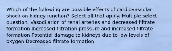 Which of the following are possible effects of cardiovascular shock on kidney function? Select all that apply. Multiple select question. Vasodilation of renal arteries and decreased filtrate formation Increased filtration pressure and increased filtrate formation Potential damage to kidneys due to low levels of oxygen Decreased filtrate formation