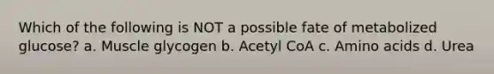 Which of the following is NOT a possible fate of metabolized glucose? a. Muscle glycogen b. Acetyl CoA c. Amino acids d. Urea