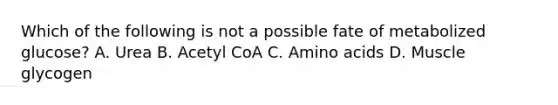 Which of the following is not a possible fate of metabolized glucose? A. Urea B. Acetyl CoA C. Amino acids D. Muscle glycogen