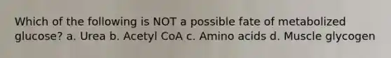 Which of the following is NOT a possible fate of metabolized glucose? a. Urea b. Acetyl CoA c. Amino acids d. Muscle glycogen