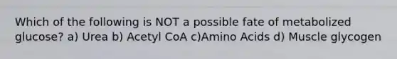 Which of the following is NOT a possible fate of metabolized glucose? a) Urea b) Acetyl CoA c)Amino Acids d) Muscle glycogen