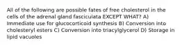 All of the following are possible fates of free cholesterol in the cells of the adrenal gland fasciculata EXCEPT WHAT? A) Immediate use for glucocorticoid synthesis B) Conversion into cholesteryl esters C) Conversion into triacylglycerol D) Storage in lipid vacuoles