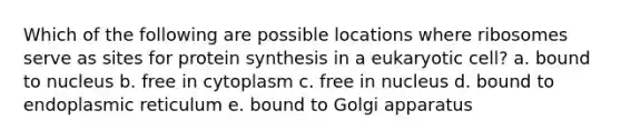 Which of the following are possible locations where ribosomes serve as sites for protein synthesis in a eukaryotic cell? a. bound to nucleus b. free in cytoplasm c. free in nucleus d. bound to endoplasmic reticulum e. bound to Golgi apparatus