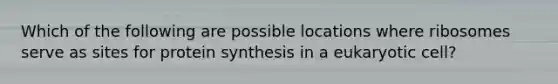 Which of the following are possible locations where ribosomes serve as sites for protein synthesis in a eukaryotic cell?