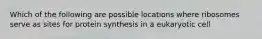 Which of the following are possible locations where ribosomes serve as sites for protein synthesis in a eukaryotic cell