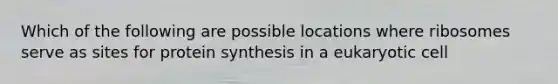 Which of the following are possible locations where ribosomes serve as sites for protein synthesis in a eukaryotic cell