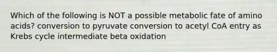 Which of the following is NOT a possible metabolic fate of amino acids? conversion to pyruvate conversion to acetyl CoA entry as Krebs cycle intermediate beta oxidation