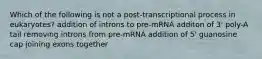 Which of the following is not a post-transcriptional process in eukaryotes? addition of introns to pre-mRNA additon of 3' poly-A tail removing introns from pre-mRNA addition of 5' guanosine cap joining exons together