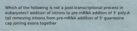 Which of the following is not a post-transcriptional process in eukaryotes? addition of introns to pre-mRNA additon of 3' poly-A tail removing introns from pre-mRNA addition of 5' guanosine cap joining exons together