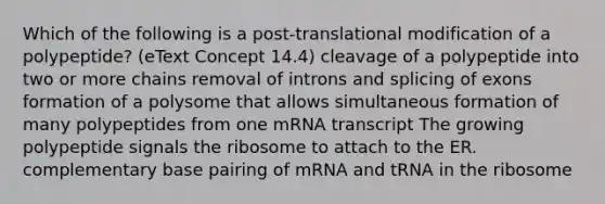 Which of the following is a post-translational modification of a polypeptide? (eText Concept 14.4) cleavage of a polypeptide into two or more chains removal of introns and splicing of exons formation of a polysome that allows simultaneous formation of many polypeptides from one mRNA transcript The growing polypeptide signals the ribosome to attach to the ER. complementary base pairing of mRNA and tRNA in the ribosome