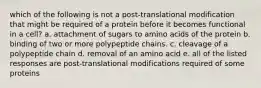 which of the following is not a post-translational modification that might be required of a protein before it becomes functional in a cell? a. attachment of sugars to amino acids of the protein b. binding of two or more polypeptide chains. c. cleavage of a polypeptide chain d. removal of an amino acid e. all of the listed responses are post-translational modifications required of some proteins