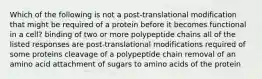 Which of the following is not a post-translational modification that might be required of a protein before it becomes functional in a cell? binding of two or more polypeptide chains all of the listed responses are post-translational modifications required of some proteins cleavage of a polypeptide chain removal of an amino acid attachment of sugars to amino acids of the protein