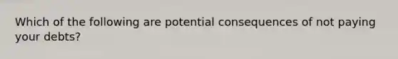 Which of the following are potential consequences of not paying your debts?