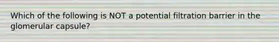 Which of the following is NOT a potential filtration barrier in the glomerular capsule?