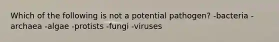 Which of the following is not a potential pathogen? -bacteria -archaea -algae -protists -fungi -viruses