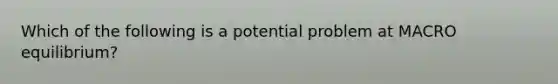 Which of the following is a potential problem at MACRO equilibrium?