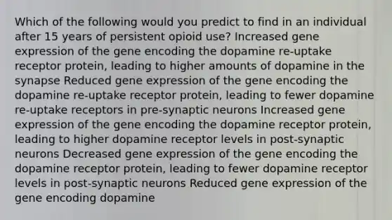 Which of the following would you predict to find in an individual after 15 years of persistent opioid use? Increased gene expression of the gene encoding the dopamine re-uptake receptor protein, leading to higher amounts of dopamine in the synapse Reduced gene expression of the gene encoding the dopamine re-uptake receptor protein, leading to fewer dopamine re-uptake receptors in pre-synaptic neurons Increased gene expression of the gene encoding the dopamine receptor protein, leading to higher dopamine receptor levels in post-synaptic neurons Decreased gene expression of the gene encoding the dopamine receptor protein, leading to fewer dopamine receptor levels in post-synaptic neurons Reduced gene expression of the gene encoding dopamine