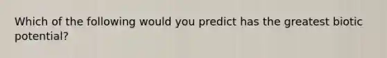 Which of the following would you predict has the greatest biotic potential?