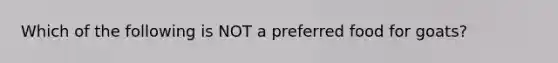 Which of the following is NOT a preferred food for goats?