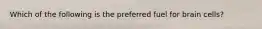 Which of the following is the preferred fuel for brain cells?