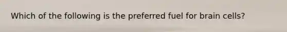 Which of the following is the preferred fuel for brain cells?