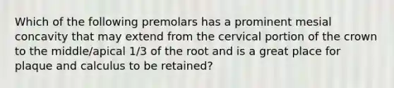 Which of the following premolars has a prominent mesial concavity that may extend from the cervical portion of the crown to the middle/apical 1/3 of the root and is a great place for plaque and calculus to be retained?