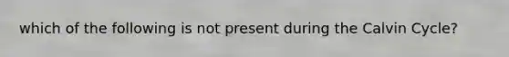 which of the following is not present during the Calvin Cycle?