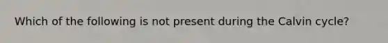 Which of the following is not present during the Calvin cycle?