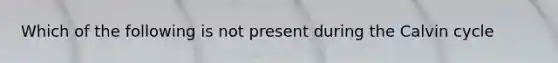 Which of the following is not present during the Calvin cycle