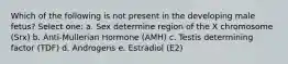 Which of the following is not present in the developing male fetus? Select one: a. Sex determine region of the X chromosome (Srx) b. Anti-Mullerian Hormone (AMH) c. Testis determining factor (TDF) d. Androgens e. Estradiol (E2)