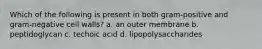 Which of the following is present in both gram-positive and gram-negative cell walls? a. an outer membrane b. peptidoglycan c. techoic acid d. lipopolysaccharides