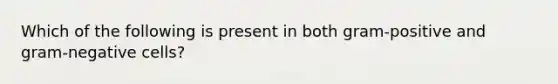 Which of the following is present in both gram-positive and gram-negative cells?