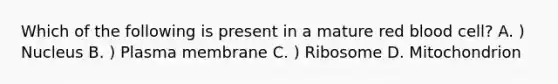 Which of the following is present in a mature red blood cell? A. ) Nucleus B. ) Plasma membrane C. ) Ribosome D. Mitochondrion