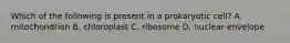 Which of the following is present in a prokaryotic cell? A. mitochondrion B. chloroplast C. ribosome D. nuclear envelope